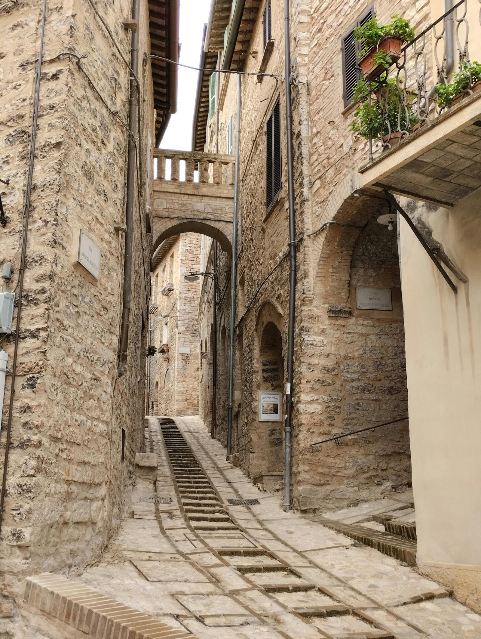 Assisi<br>Il Cantico delle Meraviglie<br>28 febbraio - immagine 4